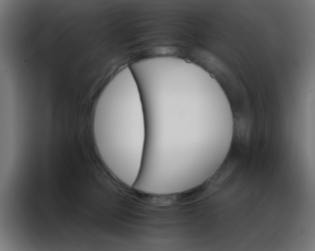 X0000088200373200705221727