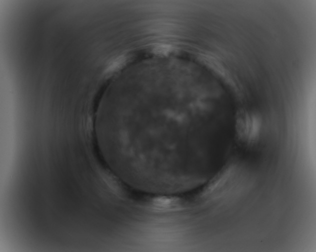 X0000088200375200705221728