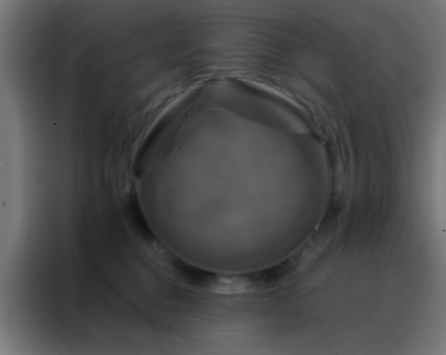 X0000088200376200705221728
