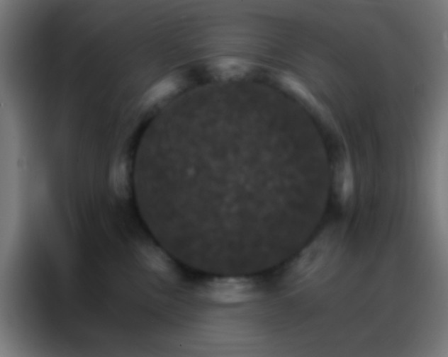 X0000088200378200705221728