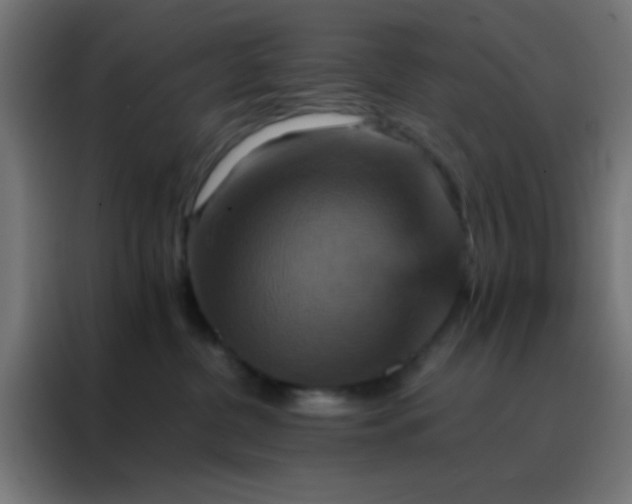 X0000088200380200705221728