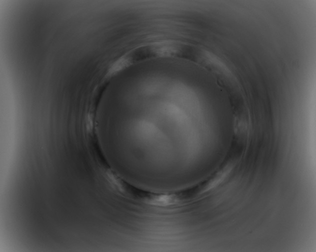 X0000088200382200705221728