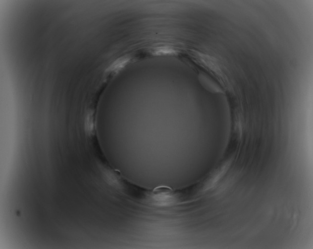 X0000088200383200705221728