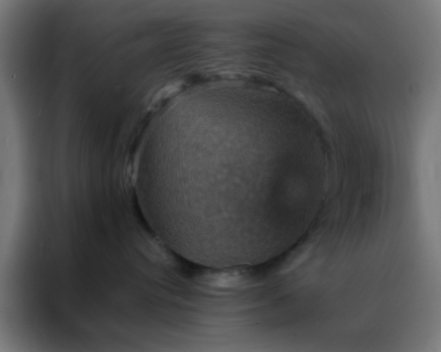 X0000088200384200705221728