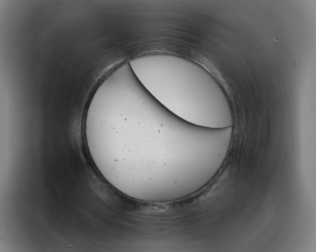 X0000088200386200705221727