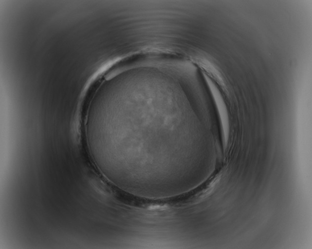 X0000088200388200705221727