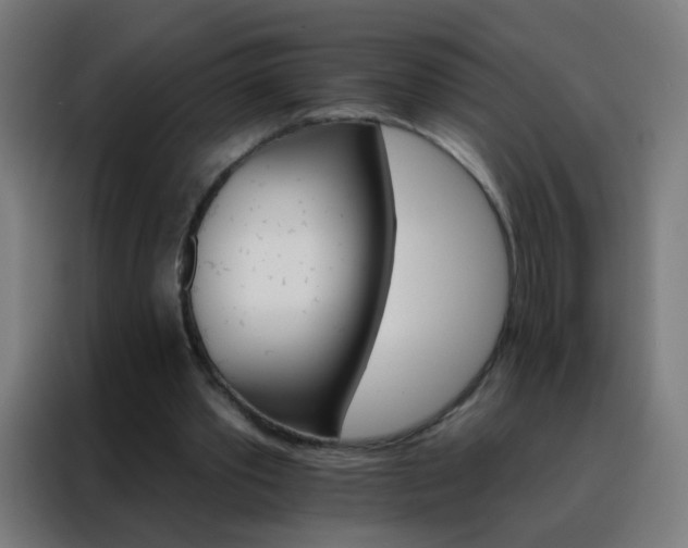 X0000088200389200705221727