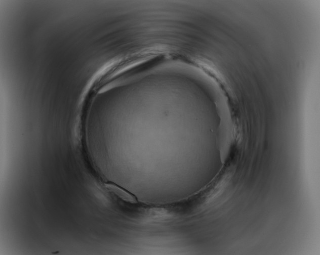 X0000088200392200705221727