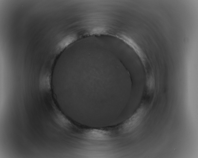 X0000088200393200705221727