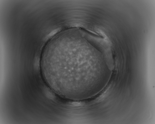 X0000088200394200705221727