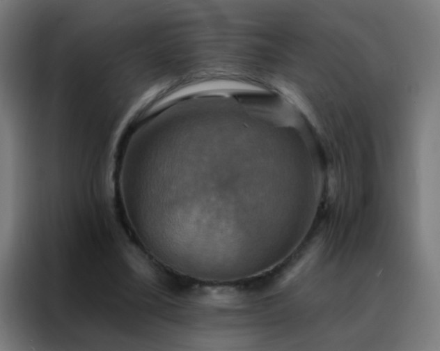 X0000088200395200705221727
