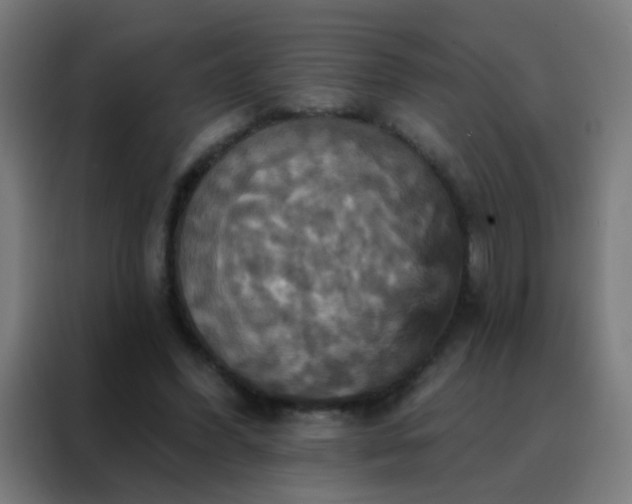 X0000088200396200705221727
