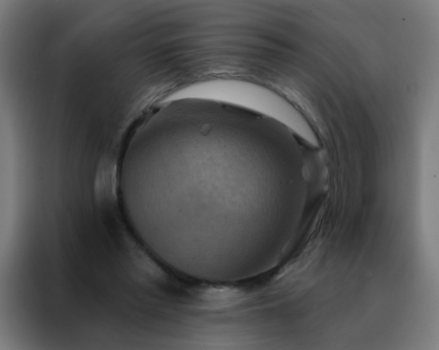X0000088200397200705221727