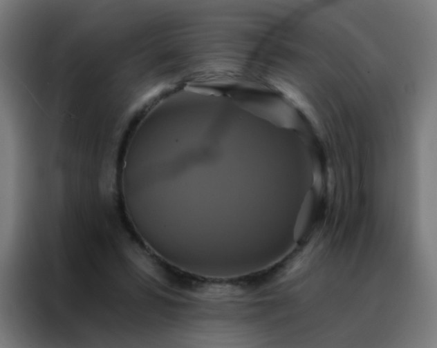 X0000088200399200705221727