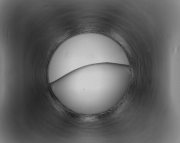X0000088200401200705221727