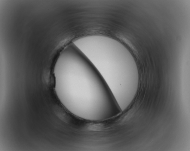 X0000088200403200705221727