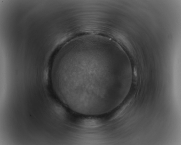 X0000088200404200705221727