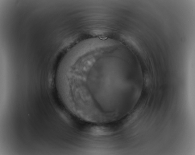 X0000088200408200705221727