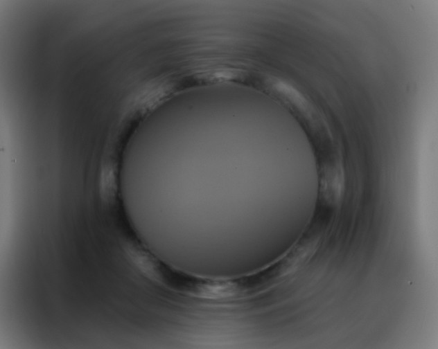 X0000088200410200705221727