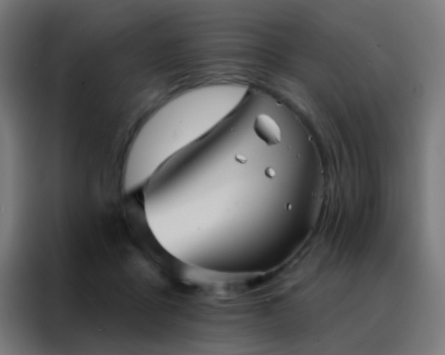 X0000088200411200705221727