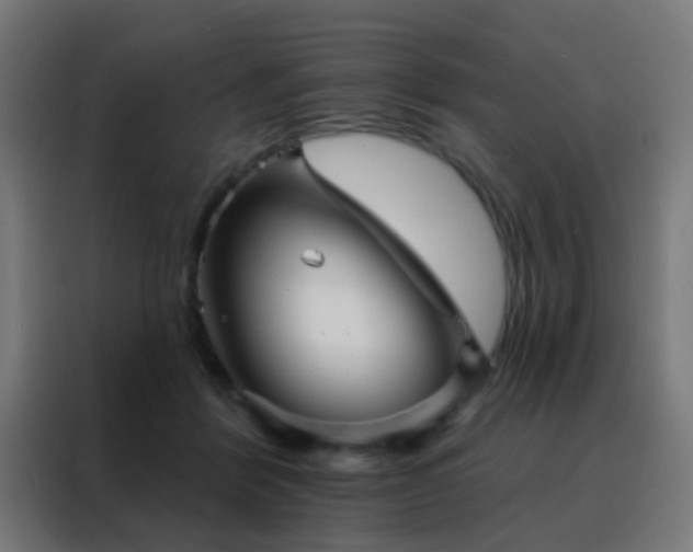 X0000088200412200705221727