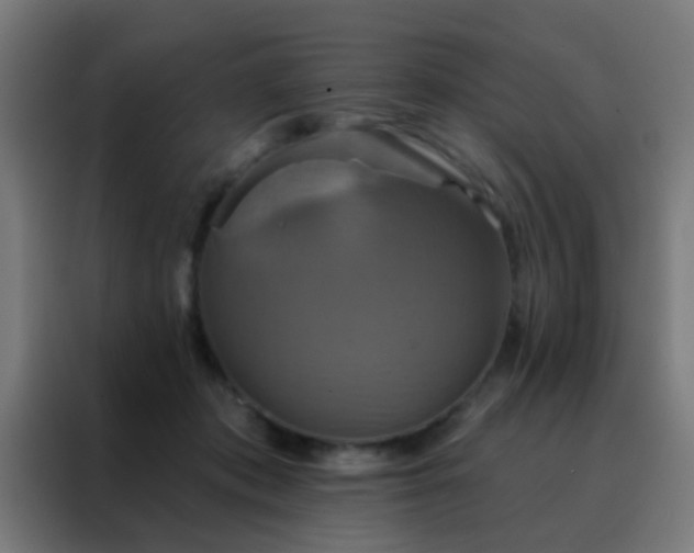 X0000088200413200705221727