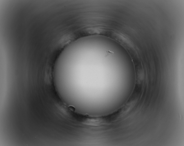 X0000088200414200705221727