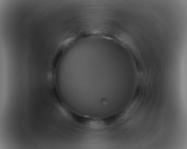 X0000088200415200705221727