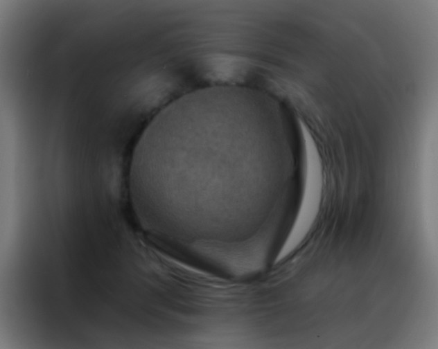 X0000088200416200705221727