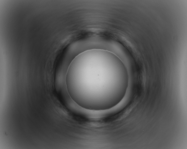 X0000088200417200705221727