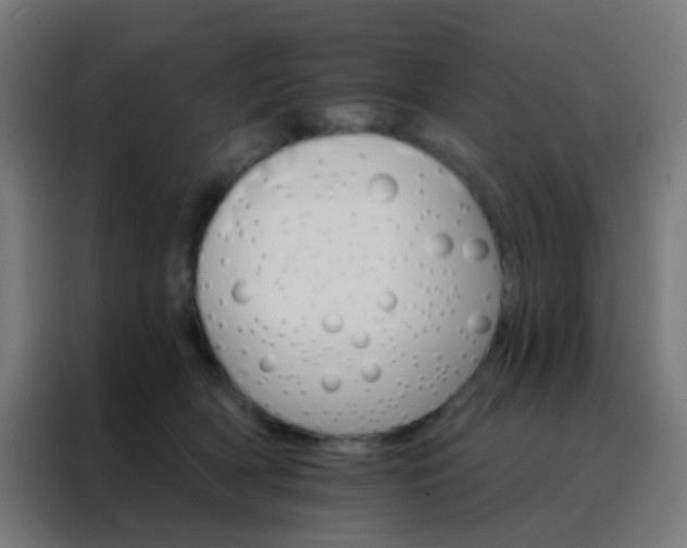 X0000088200418200705221727