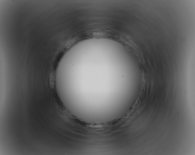 X0000088200419200705221727