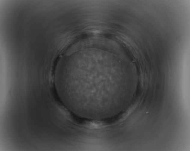 X0000088200420200705221727