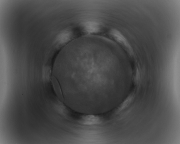 X0000088200421200705221727