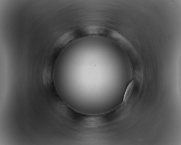 X0000088200422200705221727