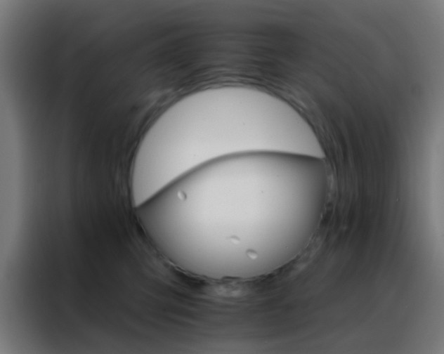 X0000088200423200705221727