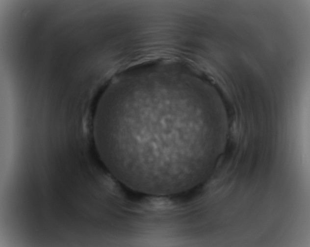 X0000088200424200705221727