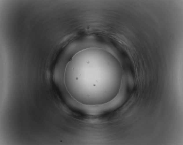 X0000088200425200705221726