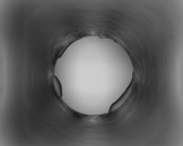 X0000088200427200705221726