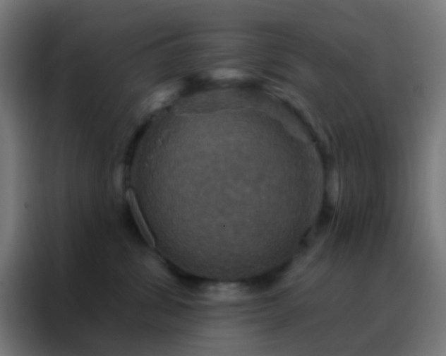 X0000088200428200705221726