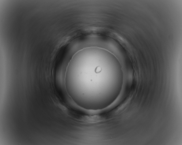 X0000088200429200705221726