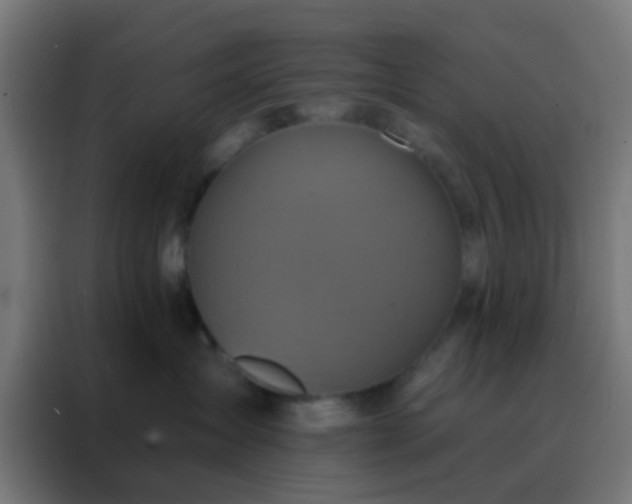 X0000088200431200705221726