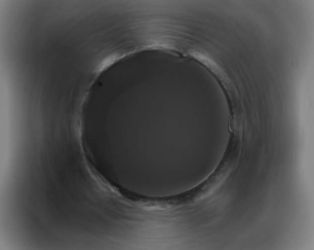 X0000088200434200705221726