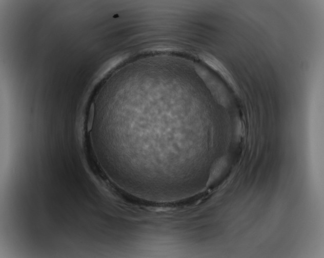 X0000088200436200705221726