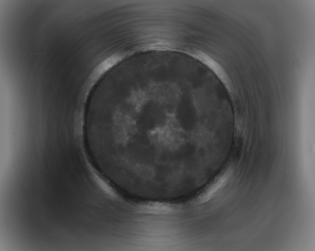 X0000088200437200705221726