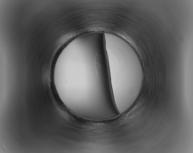 X0000088200438200705221726