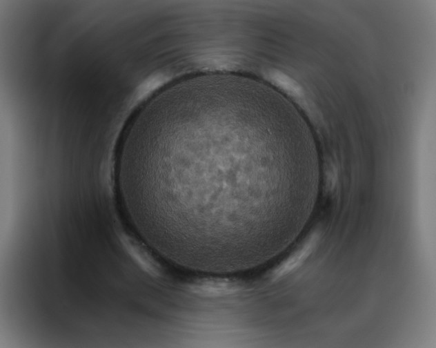 X0000088200439200705221726