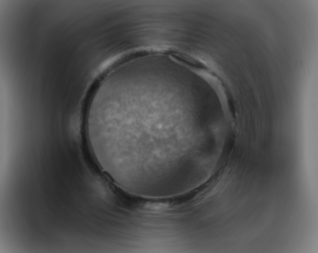 X0000088200440200705221726