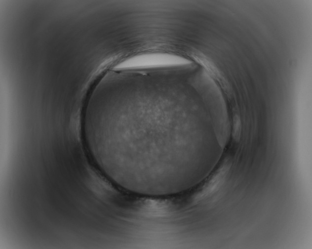 X0000088200442200705221726