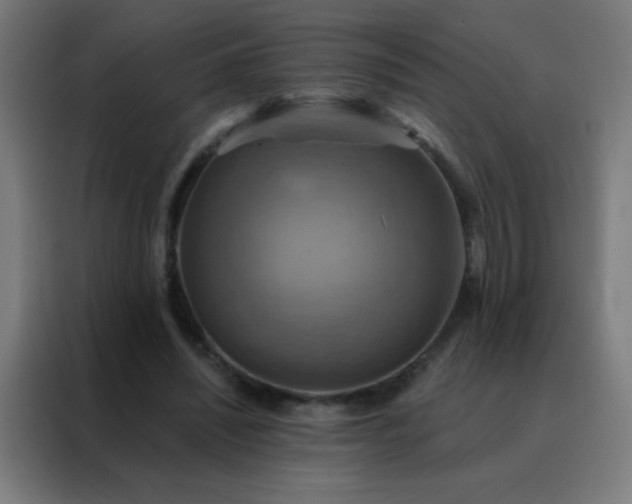 X0000088200444200705221726